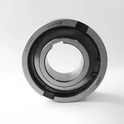 ASNU 45 — фото